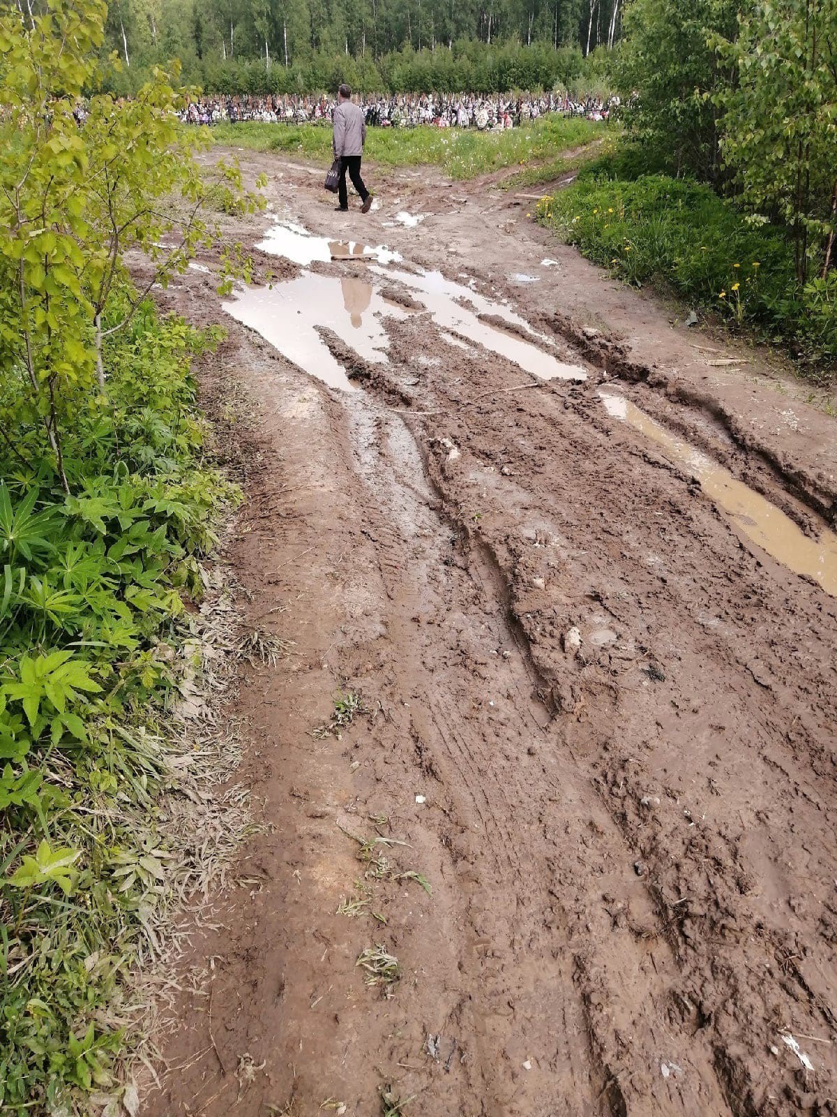 Лебедево кладбище тверь фото