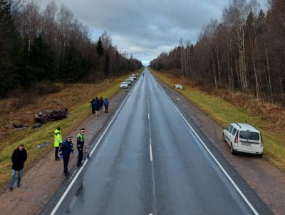 Погибли оба водителя и пассажир: подробности смертельной аварии  - новости ТИА