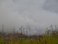 Несмотря на пожар, городская свалка работает в штатном режиме - Новости ТИА