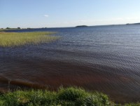В Тверской области девочка утонула, спасая жизнь школьницы - новости ТИА
