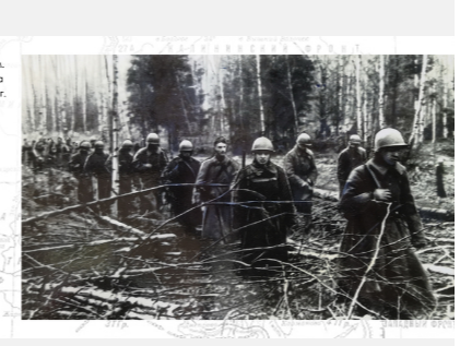 <strong>Фото: Подо Ржевом. Фотохроника ТАСС 1942 г.</strong><p></p>