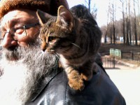 Мужичок с котятами-2 - Народные Новости ТИА