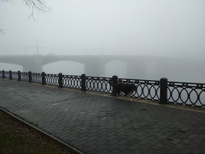 В Тверской области объявили жёлтый уровень опасности из-за тумана - новости ТИА