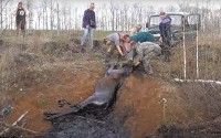Опубликовано видео спасения лосёнка из мазутной ямы в Тверской области - новости ТИА