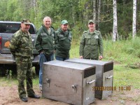 В дикую природу выпустили медвежат, которых воспитали в Тверской области - Новости ТИА