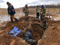 В Ржевском районе найдены останки бойцов и один металлический медальон - Новости ТИА