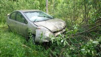 В Тверской области в результате столкновения «Тойоты» и лося пострадала женщина - Новости ТИА