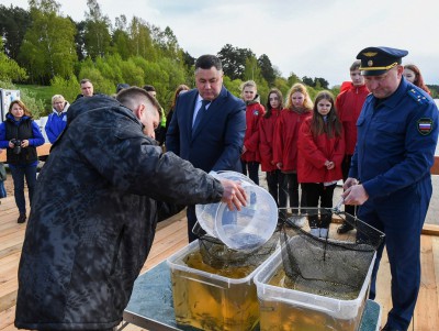 В Тверской области в Волгу  выпустили 10 тысяч штук молоди стерляди - Новости ТИА