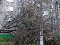Синоптики предупредили о шквалистом ветре 10 февраля в Тверской области - Новости ТИА