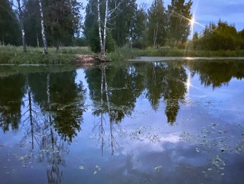 В пруду в Тверской области утонул 46-летний мужчина - новости ТИА