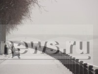 К концу недели в Тверской области морозы ослабнут - Новости ТИА