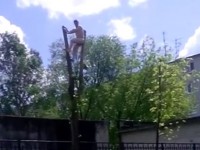 Голый мужчина, залезший на дерево, доставлен в психиатрическую больницу - Новости ТИА