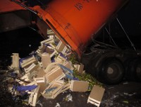 В Тверской области задержали и уничтожили почти 5 тонн груш  - Новости ТИА