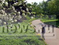 В День России в Тверской области будет тепло и солнечно - Новости ТИА