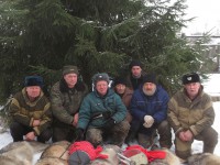 Охотники расправились со стаей волков, держащей в страхе деревни в Тверской области - Новости ТИА