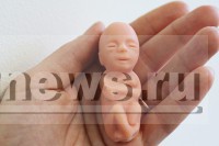 Бороться с абортами врачам Тверской области предлагают  с помощью резиновых трехмесячных младенцев - Новости ТИА