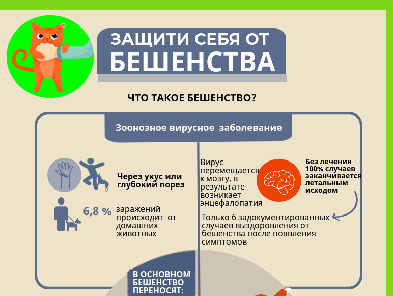 Всемирный день борьбы против бешенства. Профилактика бешенства. Бешенство памятка. Бешенство памятка для населения.