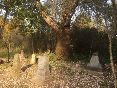 Старинное кладбище в Твери стали посещать туристы - Новости ТИА
