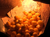В Твери в печь бросили 16 кг испанских лимонов - новости ТИА