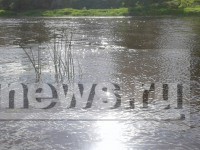 В Тверской области катер с детьми налетел на берег, пострадали три ребёнка - новости ТИА