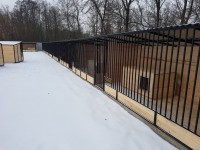 В Твери построен первый муниципальный приют для животных - Новости ТИА