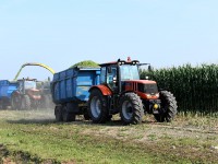 В Тверской области начали убирать урожай - новости ТИА