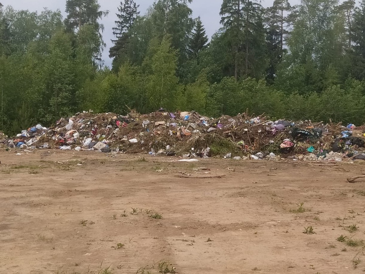 Свалку на кладбище в Дмитрово-Черкассах вывезут во втором полугодии - ТИА