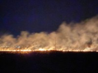 Из-за пала травы в Кимрах начались пожары - Новости ТИА