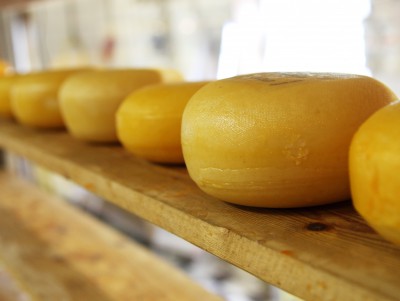 Производителя фальсифицированного сыра наказали штрафом - новости ТИА