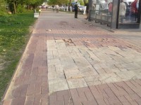 "Надо руки поотрывать": на остановке у гимназии №12 Твери разрушилась тротуарная плитка  - Новости ТИА