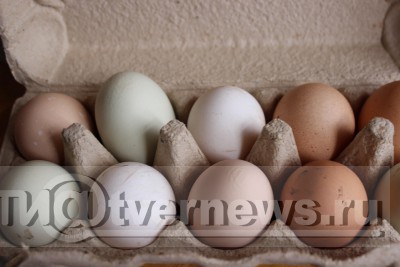 ФАС проверяет производителей из-за роста цен на яйца и куриное мясо - новости ТИА