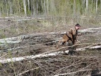 В Тверской области инспектор спас двухнедельного лосёнка, который застрял в ветках - новости ТИА