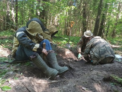 Поисковики вынесли останки пилота Ил-2 из леса в Зубцовском районе - новости ТИА