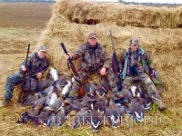 В Тверской области охотники просят перенести сроки охоты на дичь  - Новости ТИА