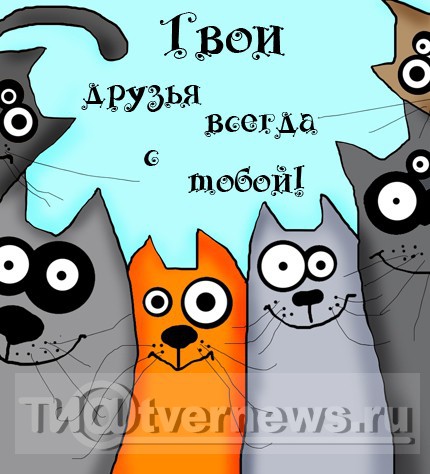 <p></p>