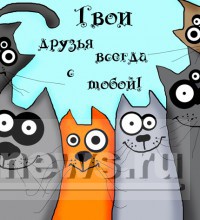 Сегодня - Международный день друзей! Не забудьте поздравить друг друга! - Народные Новости ТИА
