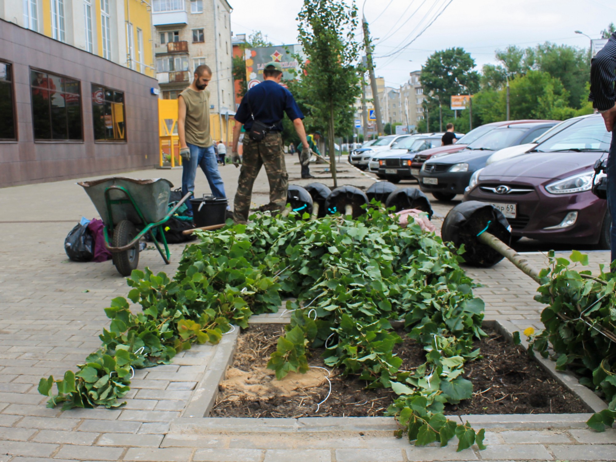 <strong>Автор: ТИА</strong><p></p>