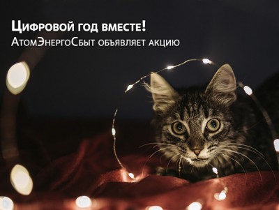 В Новый год с цифровыми сервисами АтомЭнергоСбыт   - Новости ТИА