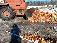 За год в Тверской области уничтожили 23 килограмма сыра и масла и 302 тонны фруктов и овощей - Новости ТИА