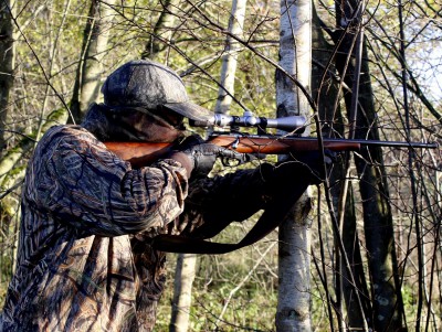 Охота в Тверской области запрещена до 1 июля - новости ТИА