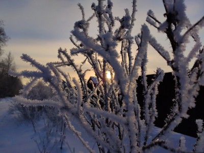 День зимнего солнцестояния: приметы и традиции - новости ТИА