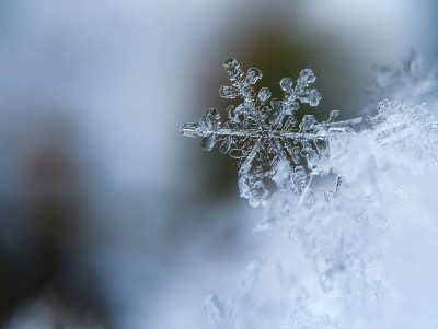 На следующей неделе в Тверской области обещают снег  - новости ТИА