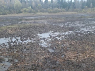 В Тверской области катастрофически обмелела река Крапивня  - новости ТИА