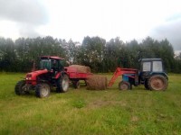 Несмотря на дожди, в Бежецкой колонии заготовили уже 50 тонн сена - Новости ТИА