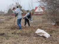 ОНФ в Тверской области проводит субботники - Новости ТИА