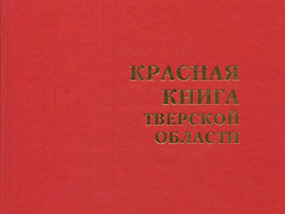 Готовится новое издание Красной книги Тверской области - Новости ТИА
