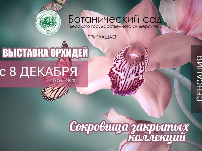<p></p>