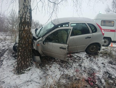 В Удомле машина на летней резине врезалась в дерево  - Новости ТИА