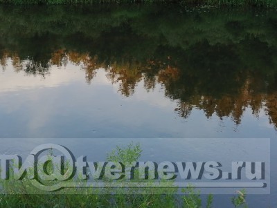 Под Тверью в реке нашли тело мужчины - Новости ТИА