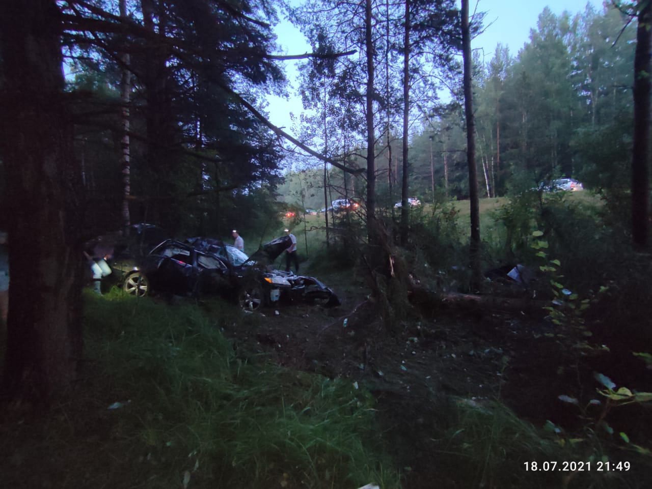 В Тверской области машина вылетела в кювет, погиб человек | 19.07.2021 |  Тверь - БезФормата